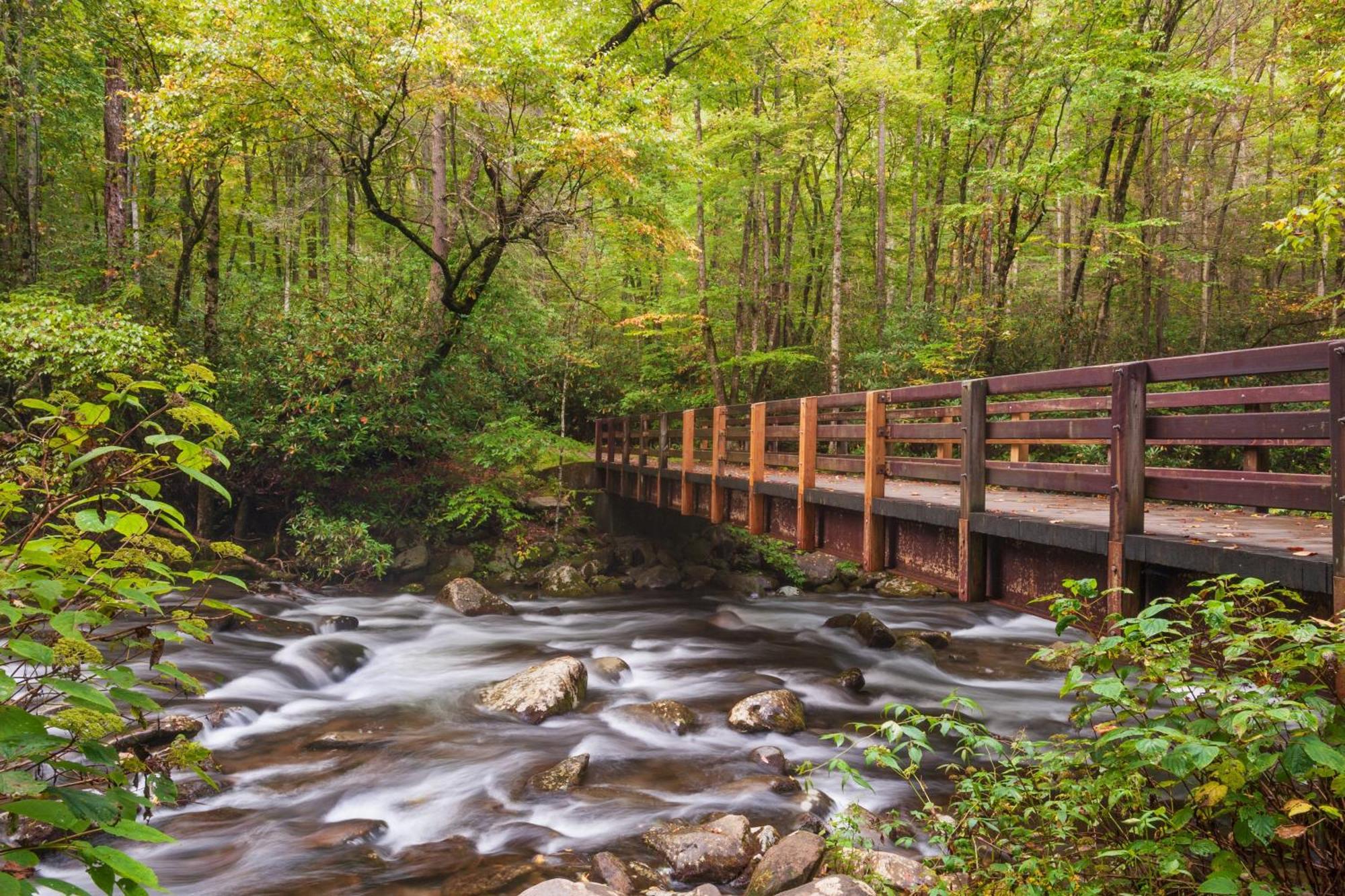 Bridgewood Cabin, Hot Tub, 1089 Of Free Attraction Tickets For Each Paid Day, Dollywood And More! Pigeon Forge Ngoại thất bức ảnh